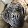 Keith S's profile picture