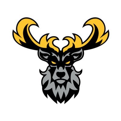 Centerville Athletics's profile picture