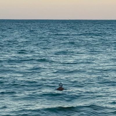 TylerIAm's profile picture