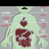 Фото профиля ゴリラ