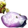 Bloystersauce's profile picture
