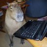 bsk7s's profile picture