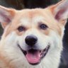 Profilbild von ユージロー