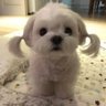 タカさん's profile picture