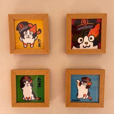 haruta's profile picture
