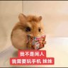 HiKi 的头像