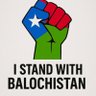 Faiz M Baluch 🇻🇺 的头像