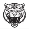 Token Tiger's profile picture