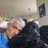 Michael Maneotis profil fotoğrafı