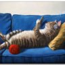 Lazy Sunday ็ๅคดๅ