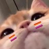 The Queen Bea's profile picture
