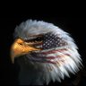 The Conservative Coach ✝️ 🇺🇸🎗️🐊🏴☠️ 的头像