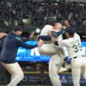 Unbiasedsportsfan's profile picture