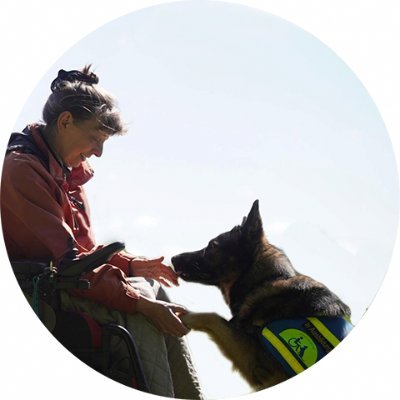 _nur_dabei's profile picture