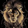 Profilbild von 👑شير👑