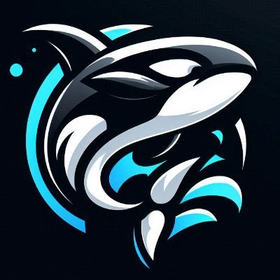 _orca_san_'s profile picture