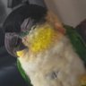 Carlin CR's profile picture