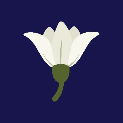 anadolukaranfil's profile picture