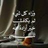 Profilbild von طالب الحق