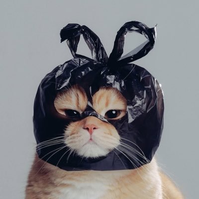 1 D a y .'s profile picture