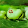 Фото профиля イカリ豆