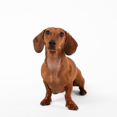 Tuca | JUMP's profile picture