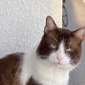 ゆでたま3🍚 profil fotoğrafı
