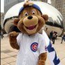 cubbiefan profil fotoğrafı