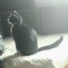 Фото профиля Gatito Mimoso del 53%