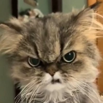werazwawy's profile picture