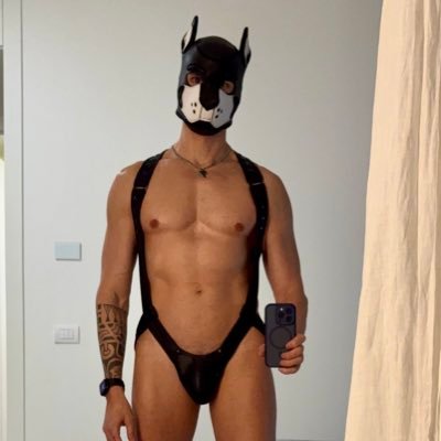 Aries the pup's profile picture