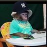 Funny Yankee Monkey's profile picture
