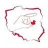 Michał's profile picture