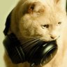 Crazy Cat888 profil fotoğrafı
