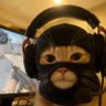 Profilbild von Yasinkaa1