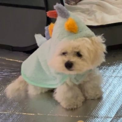 uni_dayo20's profile picture