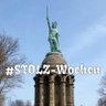 Profilbild von 🇩🇪🇦🇷🇪🇸🇭🇺cogito, ergo sum - NoGMO ☮️