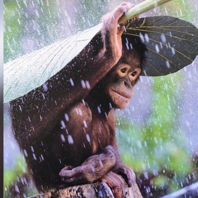 Alicja80717757's profile picture