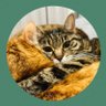 Profilbild von てぃーʕ•ᴥ•ʔ🐾