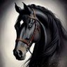 المجد's profile picture