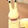 きっくん's profile picture