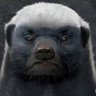 Ratel 的头像