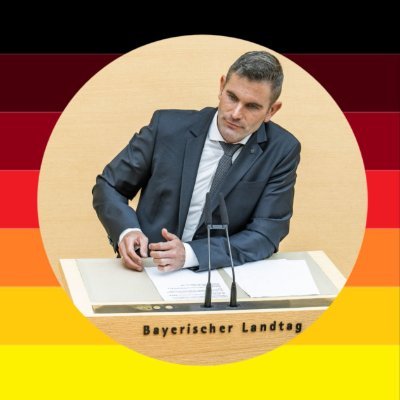 BaumannMdL's profile picture