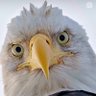 David's profile picture