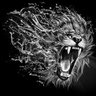 Rainbow Groups's profile picture