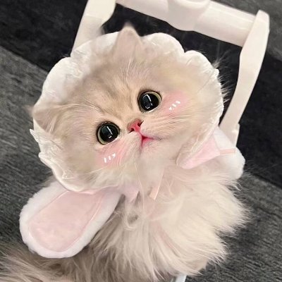 秦小姐~'s profile picture