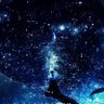 ツバサ(旧アライグマ)'s profile picture