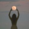 Shoaa's profile picture