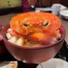 まる🦀💙 profil fotoğrafı
