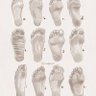 NYFeet profil fotoğrafı